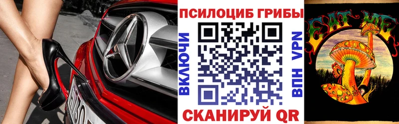 кракен зеркало  закладка  Гаджиево  Галлюциногенные грибы Psilocybine cubensis 